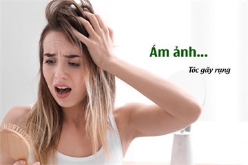 Nguyên Nhân Rụng Tóc Và Cách Kích Thích Mọc Tóc, Phục Hồi Tóc Hư Tổn